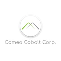 Cameo Cobalt Corp. logo - Similar company to Cobalt Blockchain