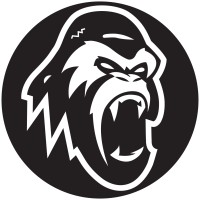 STOUT SUPPLEMENTS logo - Similar company to Knockout Gymwear