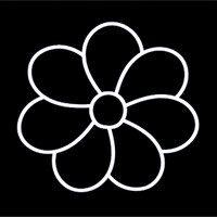 flower logo - Similar company to Sunflower Technologies Llc