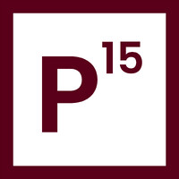 P15 Educação logo - Similar company to Associação Nacional De Educação Básica Híbrida- Anebhi