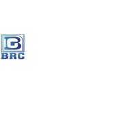 Badri Rai & Construction Limited logo - Similar company to Badri Rai Construction Ltd.