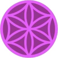 NeuCogni logo - Similar company to Okanii