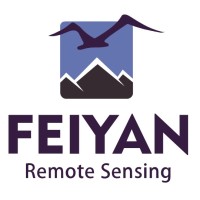 Feiyan Remote Sensing logo - Similar company to Chaincomp Technologies Co., Ltd.