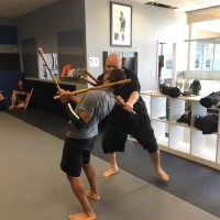 Malmo Martial Arts logo - Similar company to Riverview Martial Arts & Fitness