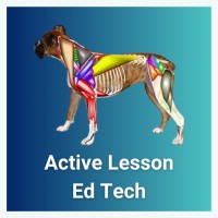 Active Lesson Ed Tech logo - Similar company to Purdue Fashion & Retail Organization
