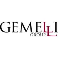 Gemelli Group logo - Similar company to Valorem Engineering Pty Ltd