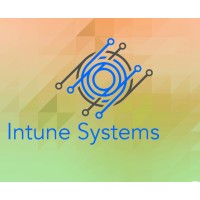 Intune Systems Limited logo - Similar company to Imbuesys