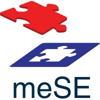 meSE Sales Engineer Certification logo - Similar company to The Sales Engineer Guy