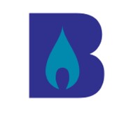 Burns Employee Benefits Insurance Services, LLC logo - Similar company to Psyntient