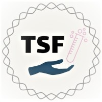 Triangle STEM Foundation logo - Similar company to Break Debate