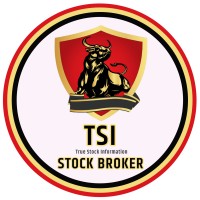 TSI Stock Broker logo - Similar company to Info Riders