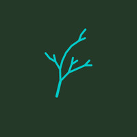 Norselab logo - Similar company to Varig