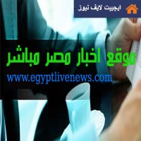 Misr Online logo - Similar company to Screen Mix