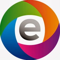 Efinovatic logo - Similar company to N+1 Intelligence & Research