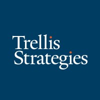 Trellis Strategies logo - Similar company to Trellis Foundation