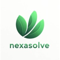 Nexasolve Limited logo - Similar company to Rtm Helmos P.C.