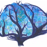 AMUNE Asociación Murciana de Neurociencia logo - Similar company to Cmidiomas