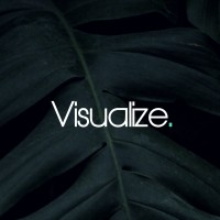 Visualize. logo - Similar company to Boursicotalk : Finance & Business