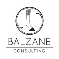 Balzane Consulting logo - Similar company to Antinéo