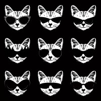 NineLives Advertising Group logo - Similar company to Dang