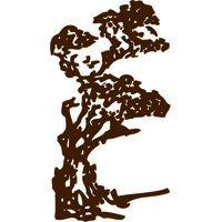 Carmel Realty Company