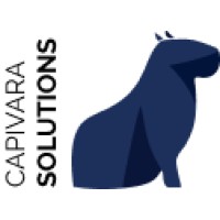 Capivara Software Solutions