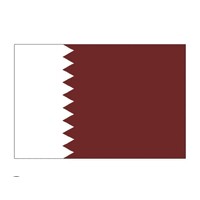 careers in Qatar🇶🇦 logo - Similar company to Digital Data Solutions