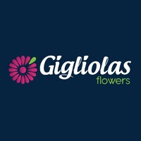 Gigliolas logo - Similar company to Flowerist