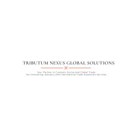 Tributum Nexus Global Solutions logo - Similar company to Hyperplastics S.A. De C.V.