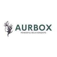 AurBox logo - Similar company to Danzai Software