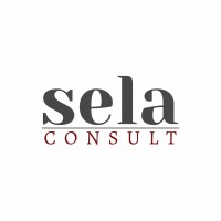 Sela Consult logo - Similar company to Cela Consult