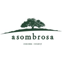 Asombrosa logo - Similar company to Nomadic Powerbox