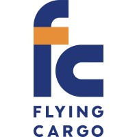 Flying Cargo logo - Similar company to Fritz Logistics & Forwarding - Supply Chain Solutions Israel