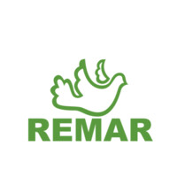Remar Schweiz logo - Similar company to Allsyn Pro
