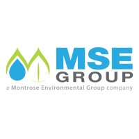 MSE Group logo - Similar company to Onnit Services Llc