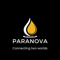 Paranova ao logo - Similar company to Paradigm Shift Llc Ae