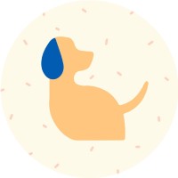 Shrimply Blue logo - Similar company to Gotham Park
