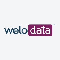 Welo Data logo - Similar company to Welocalize