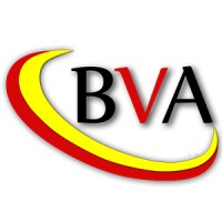 Belgian Vietnamese Alliance logo - Similar company to Sivibi - Vietnamese Student Association In Belgium - Hội Sinh Viên Việt Nam Tại Bỉ