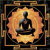 The Bandha Room logo - Similar company to Bellingham Physical Therapy, Llc