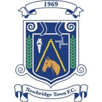 Newbridge Town FC logo - Similar company to Klub Kildare