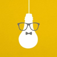 Brainwavesindia logo - Similar company to Ibird Solutions