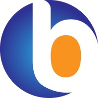 Bluepixel Technologies LLP logo - Similar company to Numetry Technologies