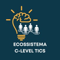 C-LEVEL TICS BRASIL logo - Similar company to Bauk Tech
