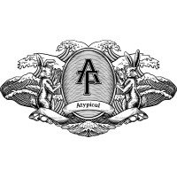 Atypicalfilms logo - Similar company to Lioncat Group
