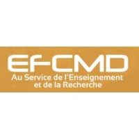 EFCMD logo - Similar company to It Cloud Ma