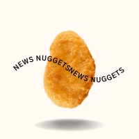News Nuggets logo - Similar company to The Diary Of Us