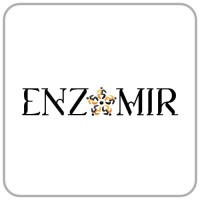 Enzomir logo - Similar company to Alorine