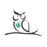 Night Owl Financial logo - Similar company to Heaven Postproduction Studio
