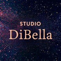Studio DiBella logo - Similar company to Wire Group